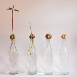 Fotografie "Kernspaltung"