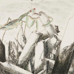 Angriff von Rieseninsekten