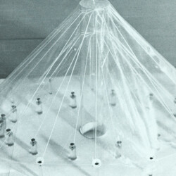 1984 Architektur + Natur