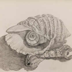 Naturfundstück – gefunden und geadelt