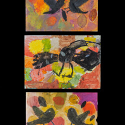 Worum sich Raben streiten