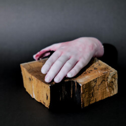 manu et pede - mit Hand und Fuß