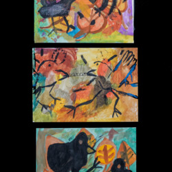 Worum sich Raben streiten