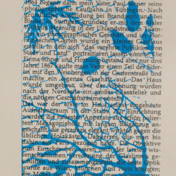 Tübinger Ansichten in Photographie und Siebdruck von 1864 bis 1994