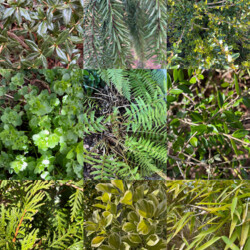 Farben in der Natur zu Frühlingsbeginn