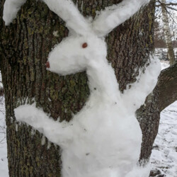 Schneetiere - Hase