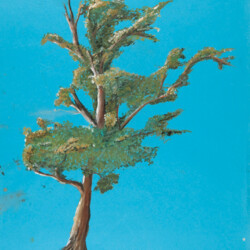 Farbstudien und Pinselduktus