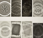 Fotogramm: Materialqualität durchsichtig - undurchsichtig