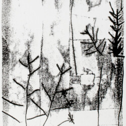 2016 Mannheim-Buchen