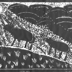 Das Leben der Indianer in Amerika