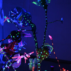 Ein Garten der besonderen Art