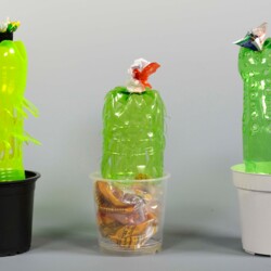 Kaktus aus Plastikmüll