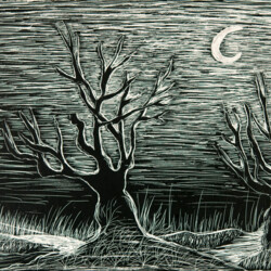 Landschaft bei Nacht