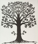 1984 Architektur + Natur