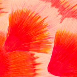 Darstellungsstufen von Bewegungsabläufen und Bewegungsspuren