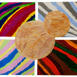 Jahreszeiten und Jahresringe