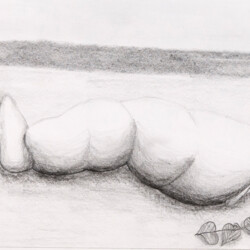 Landschaft:  Surrealistisches Strandgut