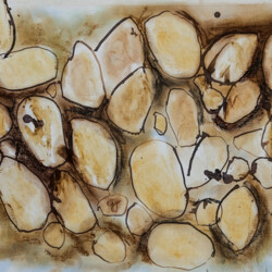 Kartoffeln im Erdreich