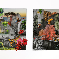 Natur erobert die Stadt