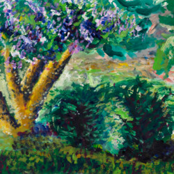 Pflanzen und Landschaft