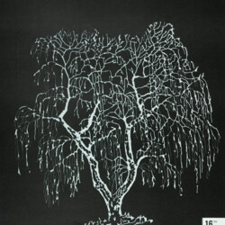 1984 Architektur + Natur