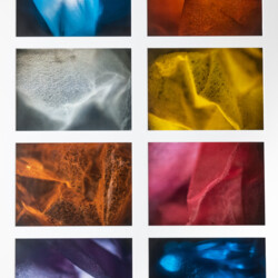 Fotoserie "Leuchtende Harmonie"