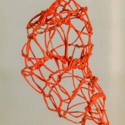 Metamorphose - Kokon in sämtlichen Stadien