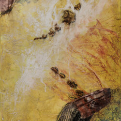 Spuren - Formsuche der Natur