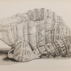 Naturfundstück – gefunden und geadelt