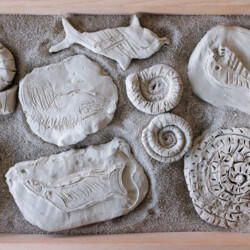 fake fossils