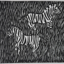 Zebras