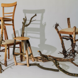 Wachstumsstudien eines Stuhls