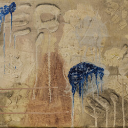 Spuren - Formsuche der Natur