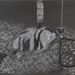 Tier: Meerschweinchen