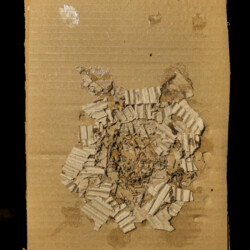 Höhlen auf der Schwäbischen Alb