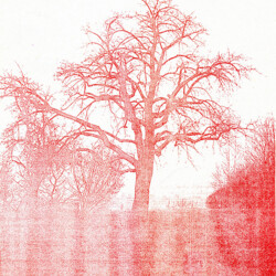 Tübinger Stadtfriedhof