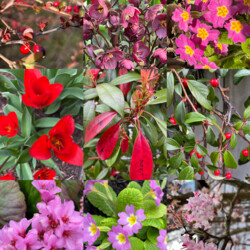 Farben in der Natur zu Frühlingsbeginn