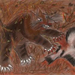 Tier: Katze auf der Pirsch