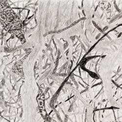 Pflanzliches: Geäst