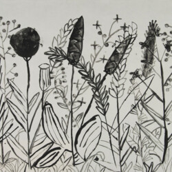 Kartonkantendruck: Gräser