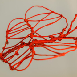 Metamorphose - Kokon in sämtlichen Stadien