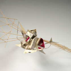 form#function#-"maison speciale"