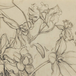 Schönheit der Vergänglichkeit