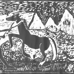 Das Leben der Indianer in Amerika