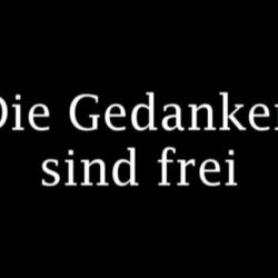 2007/08 Papier und Pappe