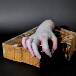 manu et pede - mit Hand und Fuß