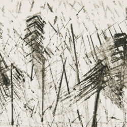 Kartonkantendruck: Wald