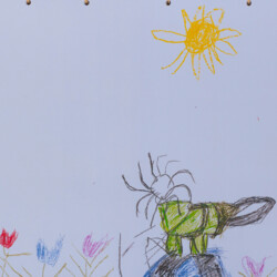 Begegnungen zwischen Menschen mit und ohne Behinderung