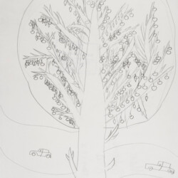 Pflanzliches: Baumtest nach Koch