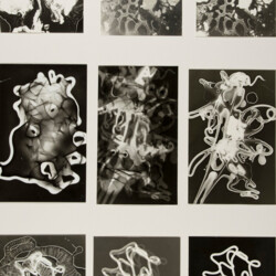 Fotogramm: Materialqualität durchsichtig - undurchsichtig